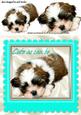 as Cute as Can Be Puppy in Turq Frame
