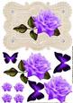 Stunning Elegant Purple Rose on Ecru Lace