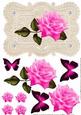 Stunning Elegant Cerise Pink Rose on Ecru Lace