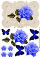 Stunning Elegant Blue Rose on Ecru Lace