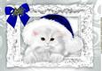 Fluffy White Kitten in Blue Santa Hat with Bow A4