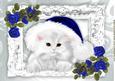 fluffy White Kitten in Blue Santa Hat with Blue Roses A4