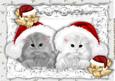 Fluffy Kittens in Santa Hats with Cheeky Little Robins A4