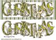 Christmas Word in Green/silver Stripe Frame Dl
