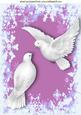 Beautiful Doves in Pink Snowflake Background A4