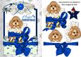 Little Puppy in Christmas Box in Blue Lace Frame