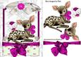 Cute Little Deer in Pink Lace Frame