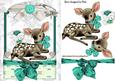 Cute Little Deer in Turq Lace Frame