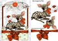 Cute Little Deer in Copper/orange Lace Frame
