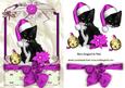 Cute Kitty in Pink Santa Hat in Lace Frame