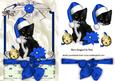 Cute Kitty in Blue Santa Hat in Lace Frame