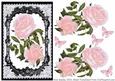 Lovely Roses in Fancy Lace Frame