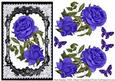 Lovely Roses in Fancy Lace Frame
