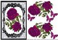 Lovely Roses in Fancy Lace Frame