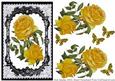 Lovely Roses in Fancy Lace Frame