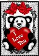 Black/white Panda with Big Red Bow in Lace Frame A4