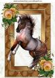 Beautiful Horse with Vintage Roses in Ornate Frame A4