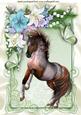 Beautiful Horse in Flower Frame A4