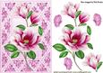Pretty Pink Flowers in Ornate Frame with Butterflies