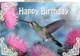 Humming Bird with Pink Flowers for Birthday A4