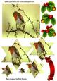 Little Robin Redbreast on a Branch Star Pyramids