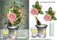 Let the Champagne Pour with Pretty Pink Roses