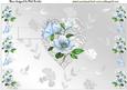 Silver Heart with Blue Flowers and Butterflies Pop Out Card