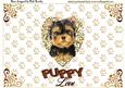 Puppy Love Cute Yorkshire Terrier Pop Up