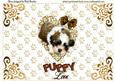 Little Puppy Sleeping on Gold Heart Pop Up
