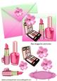Shades of Pink Ladies Makeup on Card and Envelope