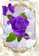 Pretty Painted Purple Roses with Bow and Doves A4