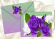 Purple Roses & White Doves on a Card with Envelope A4