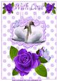 Purple Painted Rose, with White Swans on Pop Up Card