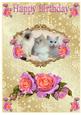 Cute Kitten with Peach/roses on Pop Up Card