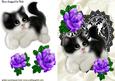 Cute Kitty with Purple Roses on Black/white Lace Heart