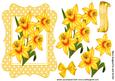 Yellow Daffodils in Yellow Polkadot Frame with Bow