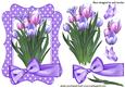 Pink/lilac Tulips in Lilac Polka Dot Frame with Bow