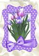 Pink/lilac Tulips in Lilac Polka Dot Frame A4