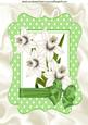 White Daffs with Green Bow in Green Polkadot Frame A4