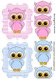 Cute Little Toppers of Pink and Blue Owls in Gingham Frames