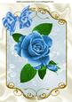 Painted Blue Rose in Ornate Frame with Bow A4