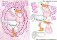 It's a Girl! with Cute Stork in Lace Frame