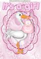 It's a Girl! with Cute Stork in Lace Frame A4