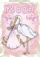 Cute Baby Girl! Carried by a Stork A4