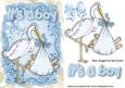 Cute Baby Boy! Carried by a Stork