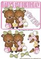 Twin Girl Teddies 1st Birthday