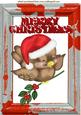 Cute Little Robin on Holly Branch in Santa Hat A4