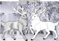 Beautiful White/grey Stags in Icicle Glazier A4