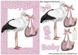 Baby Girl with Stork in Baby Word Frame