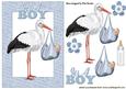 Baby Boy with Stork in Baby Word Frame
